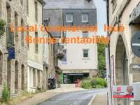 Bureaux et commerces 6 pièces