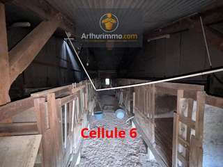 Bureaux et commerces 3 pièces