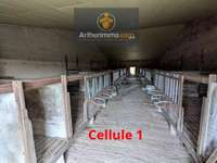 Bureaux et commerces 3 pièces