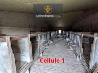 Bureaux et commerces 3 pièces