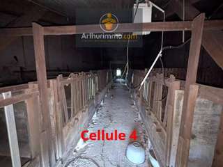 Bureaux et commerces 3 pièces