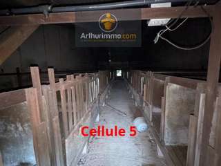 Bureaux et commerces 3 pièces