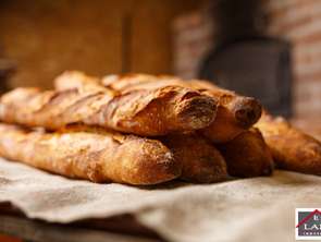 Vente Bureaux et commerces 190 m&sup2;Laval