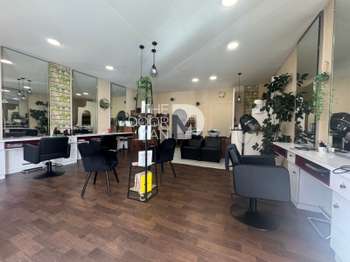 Bureaux et commerces 5 pièces Laval 53