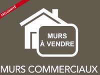 Bureaux et commerces 10 pièces