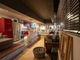 Bureaux et commerces 7 pièces