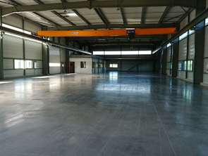 Vente Bureaux et commerces 1492 m&sup2;Les Achards