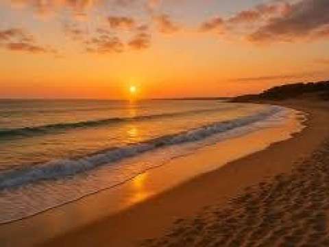 Bureaux et commerces 2 pièces