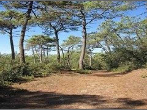 Bureaux et commerces 2 pièces