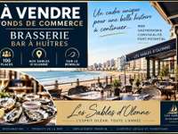 Bureaux et commerces Les Sables-d'Olonne - 85