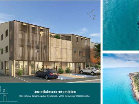 Bureaux et commerces Leucate 11