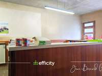Bureaux et commerces 12 pièces