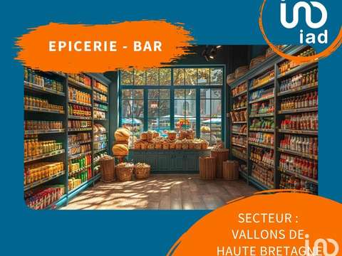 Bureaux et commerces Lohéac 35