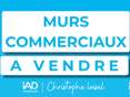 Bureaux et commerces Lorient - 56