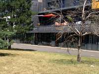Bureaux et commerces 10 pièces