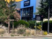 Bureaux et commerces 10 pièces