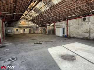 Bureaux et commerces 7 pièces