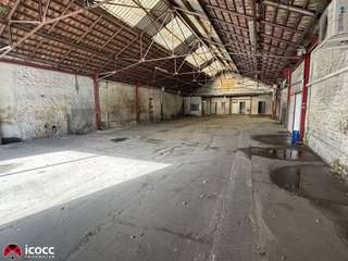 Bureaux et commerces 7 pièces