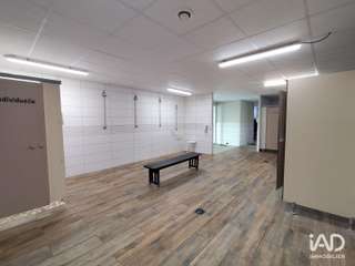 Bureaux et commerces