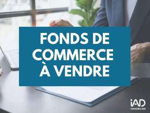 Vente Bureaux et commerces 235 m&sup2;Mareuil-sur-Lay-Dissais