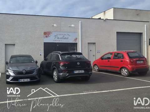 Bureaux et commerces Marseillan 34