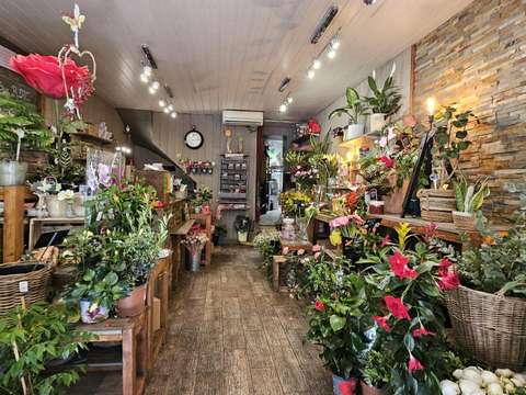 Bureaux et commerces