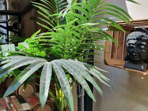 Vente Bureaux et commerces 80 m&sup2;Marseille 4e