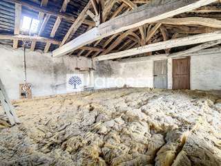 Bureaux et commerces 6 pièces