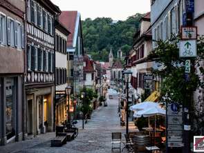 Vente Bureaux et commerces 220 m&sup2;Mayenne