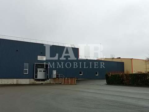 Bureaux et commerces Mayenne 53