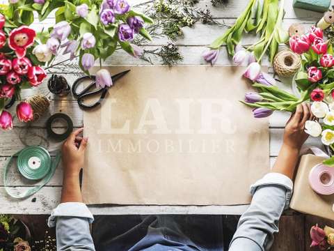 Bureaux et commerces Mayenne 53