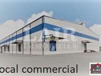 Bureaux et commerces 15 pièces Bureaux et commerces 15 pièces