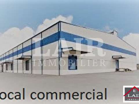 Bureaux et commerces 15 pièces Mayenne 53