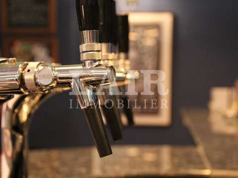 Bureaux et commerces Mayenne 53