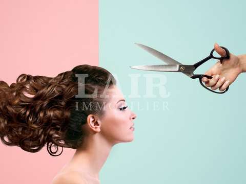 Bureaux et commerces Mayenne 53