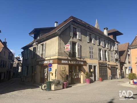 Bureaux et commerces Mens 38