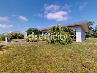 Bureaux et commerces 3 pièces