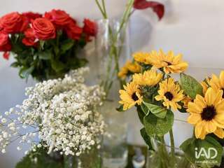 Bureaux et commerces