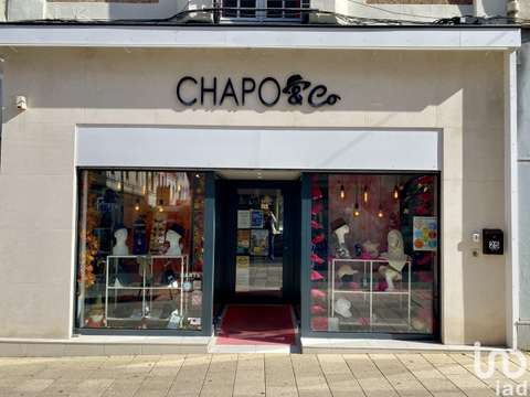 Bureaux et commerces Montargis 45