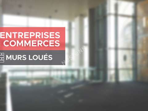 Bureaux et commerces Montjean-sur-Loire 49
