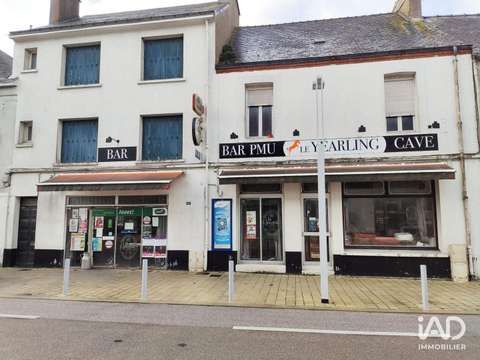 Bureaux et commerces Montoir-de-Bretagne 44