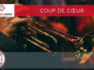 Bureaux et commerces 1 pièce