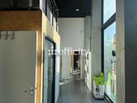 Bureaux et commerces 8 pièces