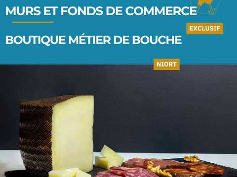 Bureaux et commerces Niort 79