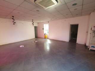 Bureaux et commerces 6 pièces