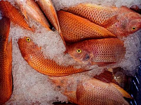 Bureaux et commerces Orvault 44