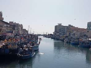 Vente Bureaux et commerces 123 m&sup2;Palavas-les-Flots