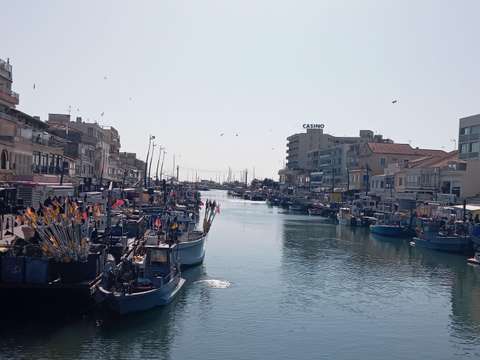 Bureaux et commerces Palavas-les-Flots 34