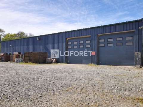 Bureaux et commerces Péaule 56