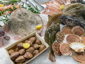 Vente Bureaux et commercesPerros-Guirec